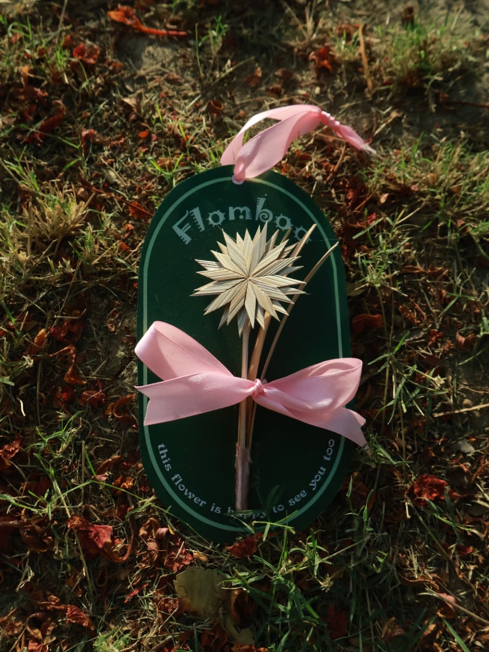 Home decor & Gifting