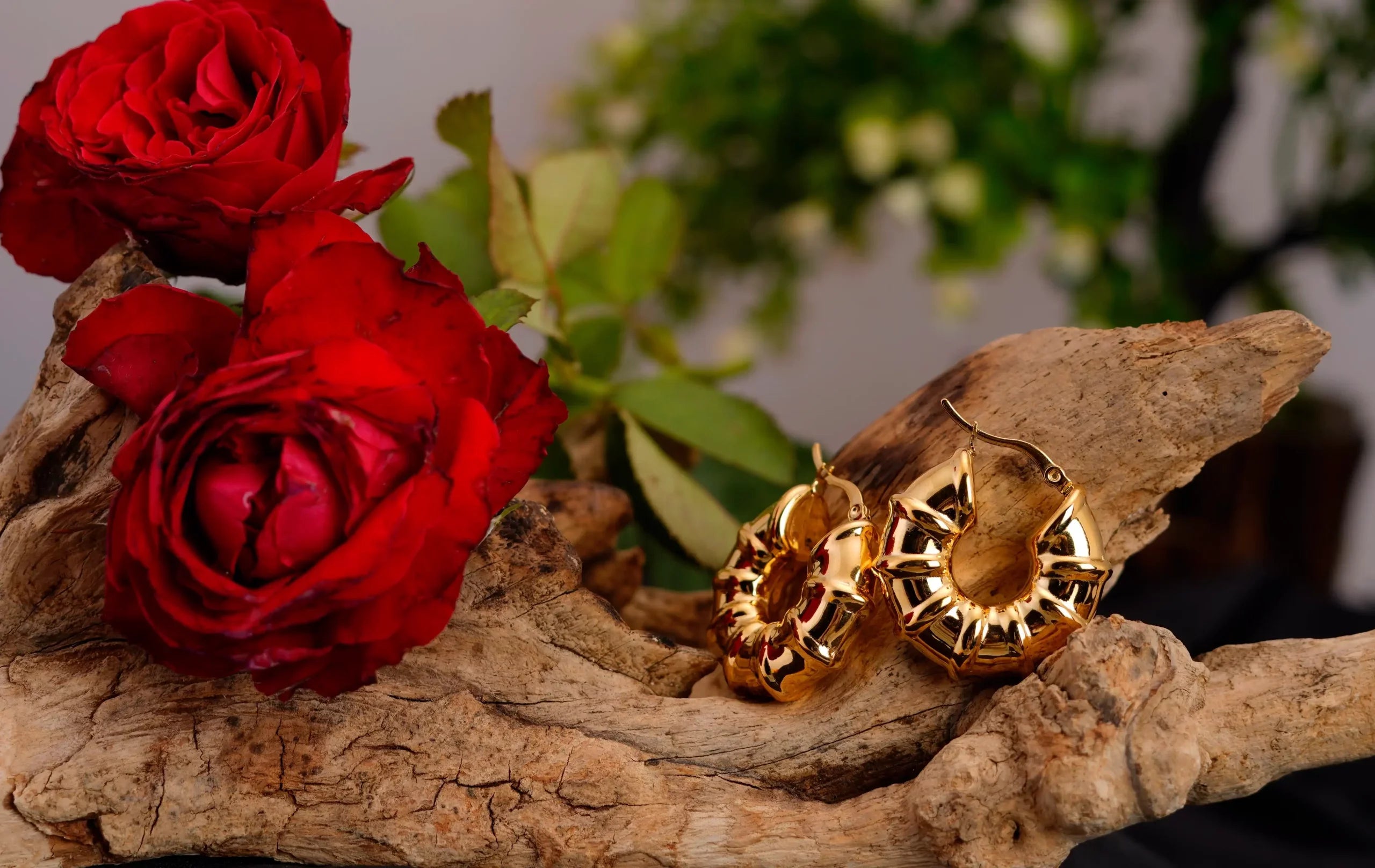 Bamboo Round Earrings