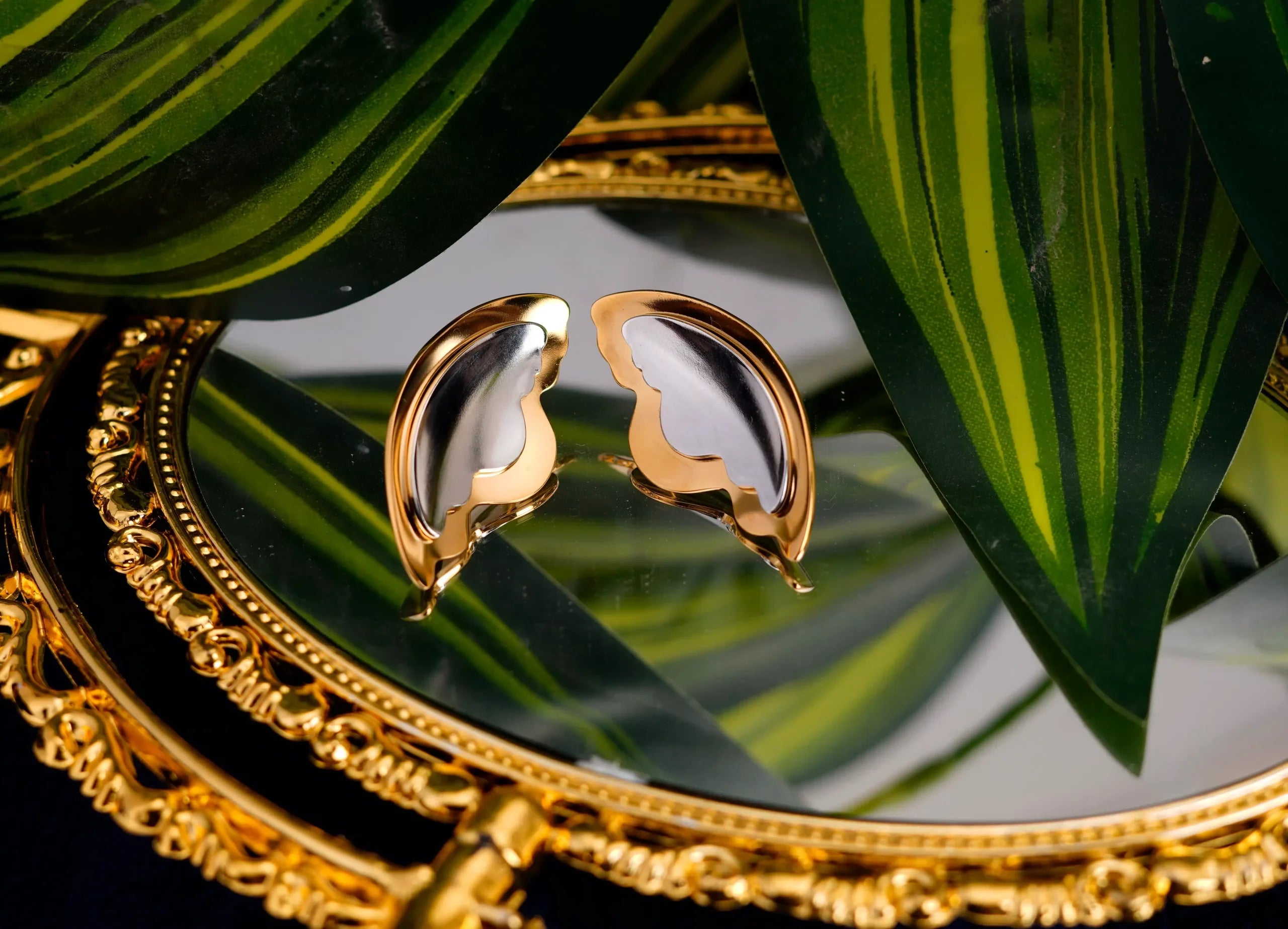 Color Block Wing Stud Earrings