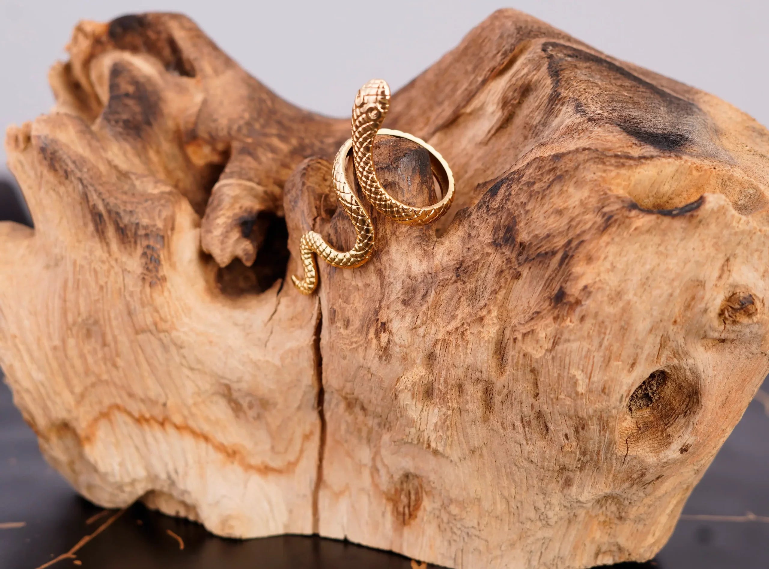 Snake Open Ring