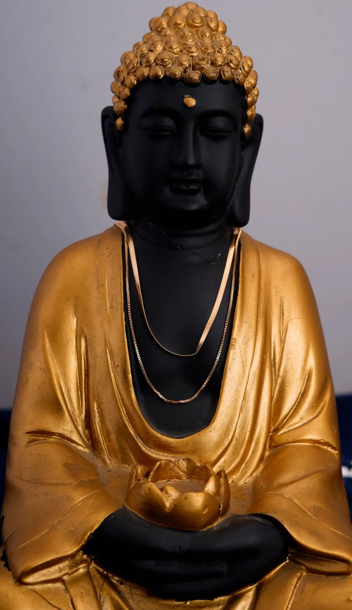 Snake double layered Necklace