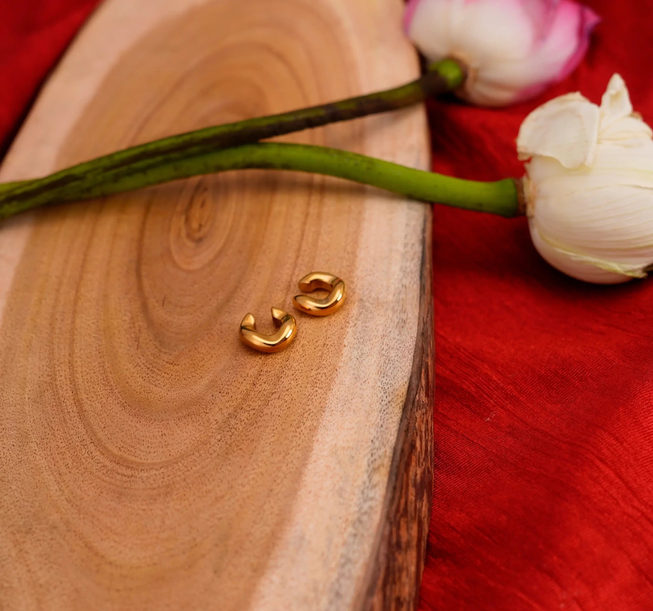 Bold C-Shaped Ear Clips