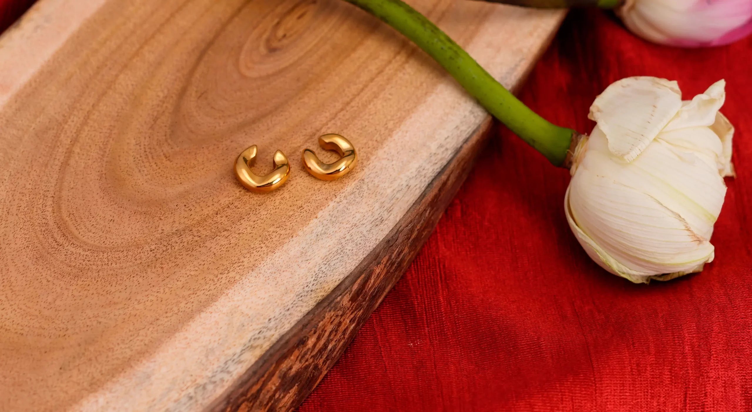 Bold C-Shaped Ear Clips