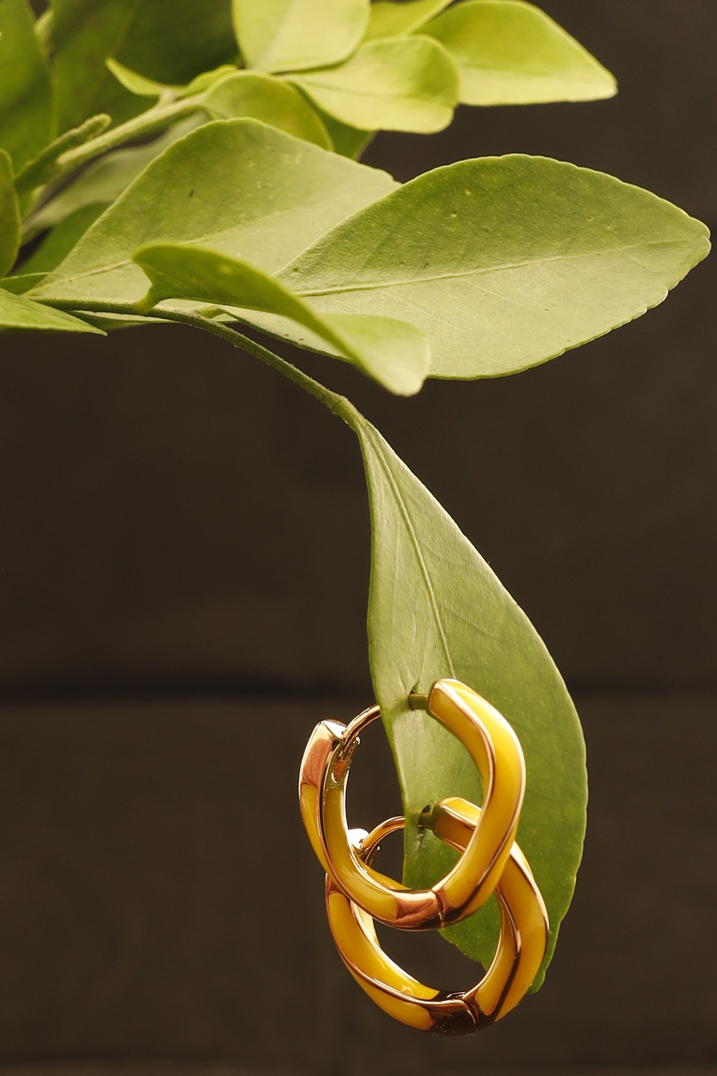 18k Gold Plated Huggie Earrings