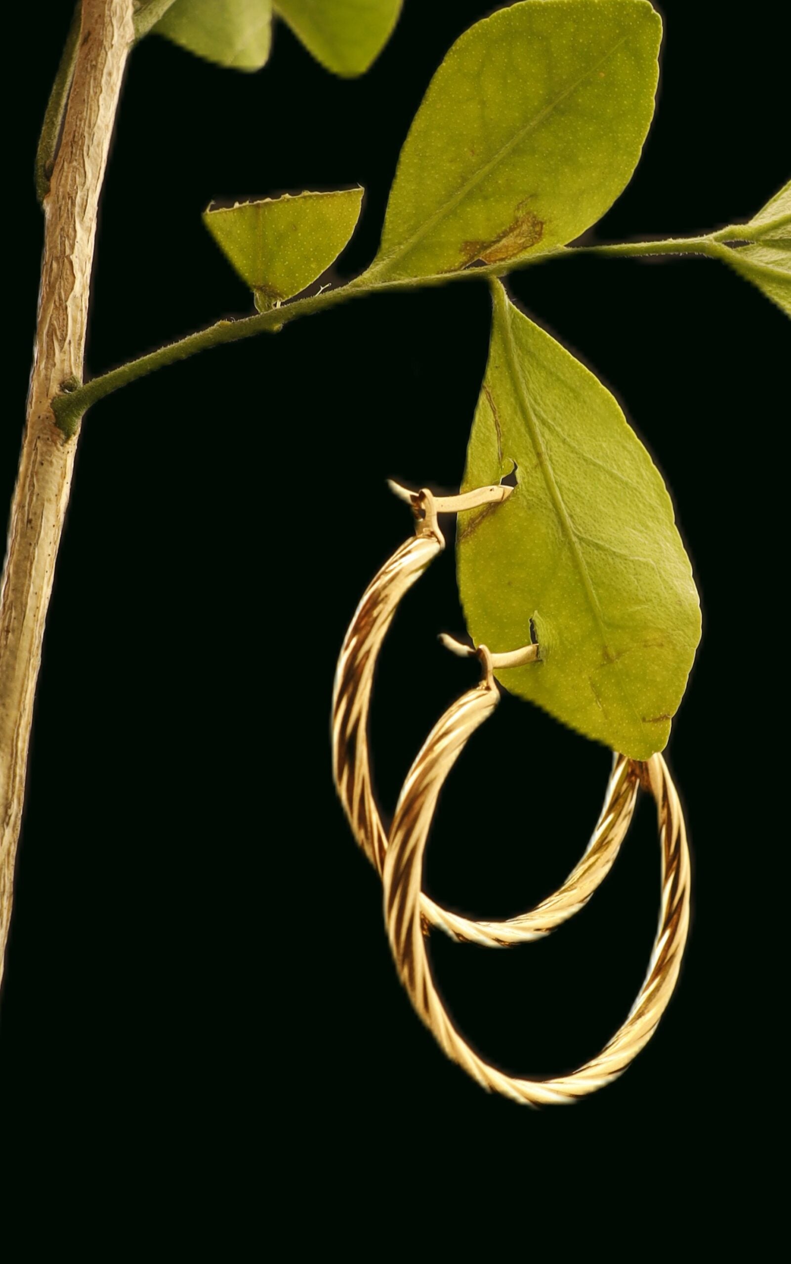 Statement hoop earrings for women – Smara Jewellery